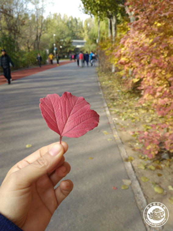 IMG_20161112_093609.jpg