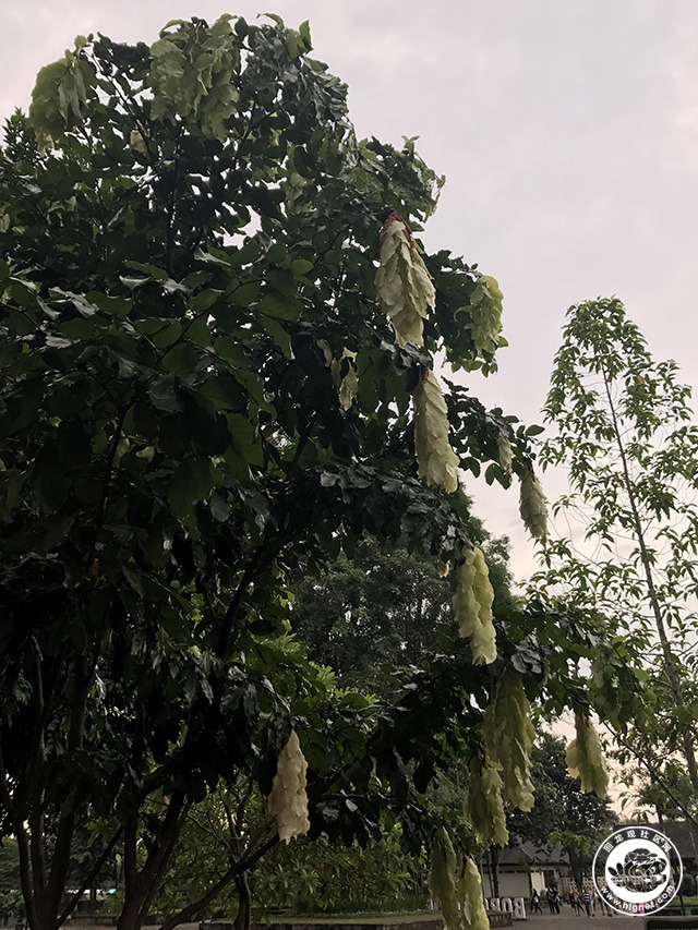 20170811215137_41.jpg