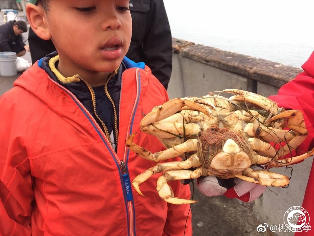 20180115074247_4.jpg 微信图片_20180114153317.jpg