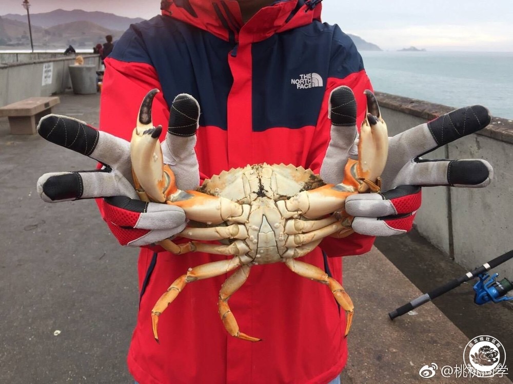 20180115074344_2.jpg 微信图片_20180114153305.jpg