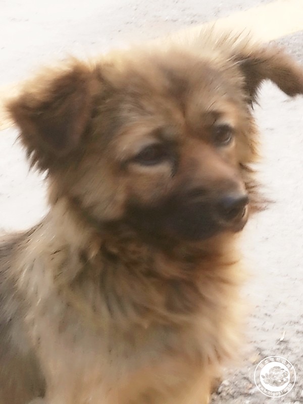 20180508112154_25.jpg 微信图片_20180508103141_副本.jpg