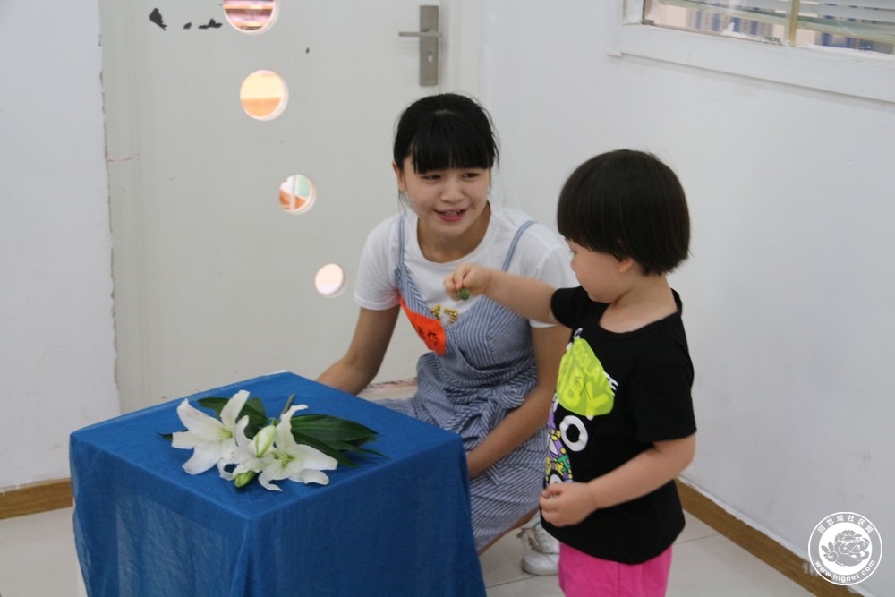 20180605094442_5.jpg