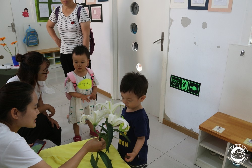 20180605094446_96.jpg
