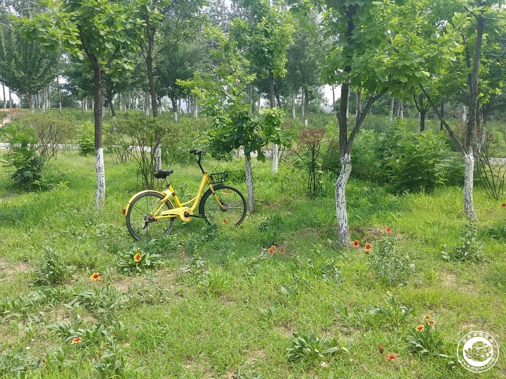 微信图片_20180618224919.jpg