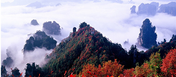 20180926105020_53.jpg 微信图片_20180926103810.jpg