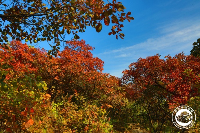 20181019192610_4.jpg
