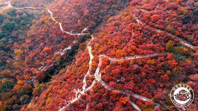20181026173024_65.jpg