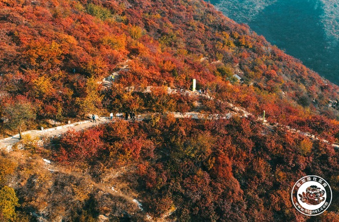 20181026173025_40.jpg