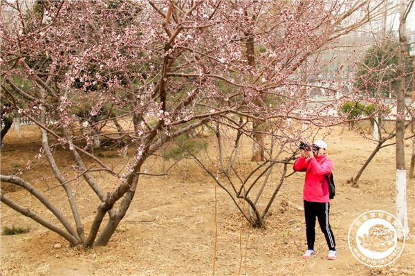 20190312102006_92.jpg 微信图片_20190312101654.jpg
