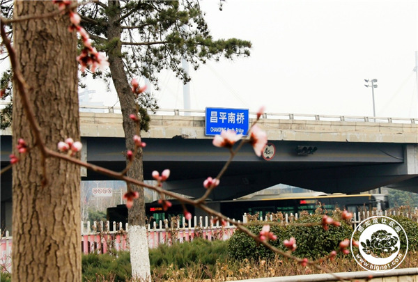20190312102016_27.jpg 微信图片_20190312101700.jpg