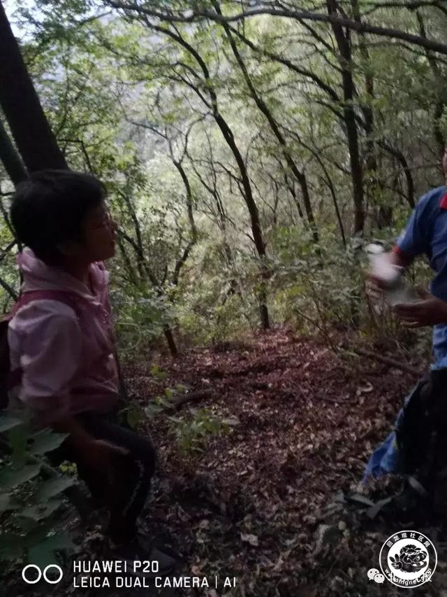 20190701162929_11.jpeg
