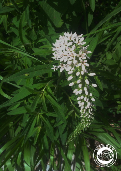 20190702010053_27.jpg