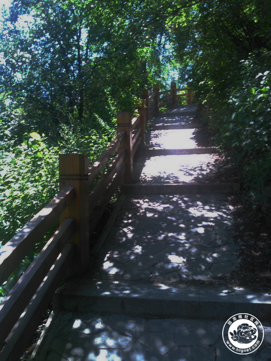 20190702010053_57.jpg
