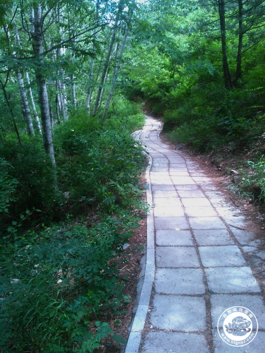 20190702010053_74.jpg