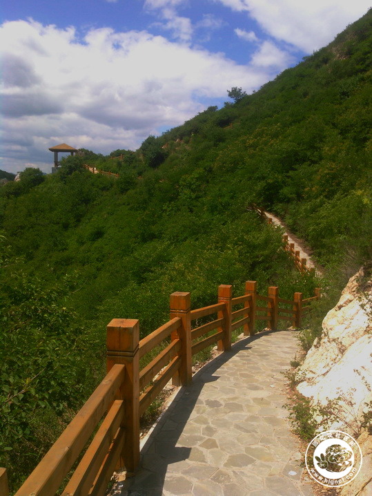20190702010054_25.jpg