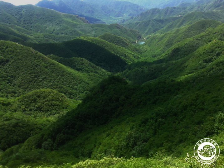 20190702010054_90.jpg