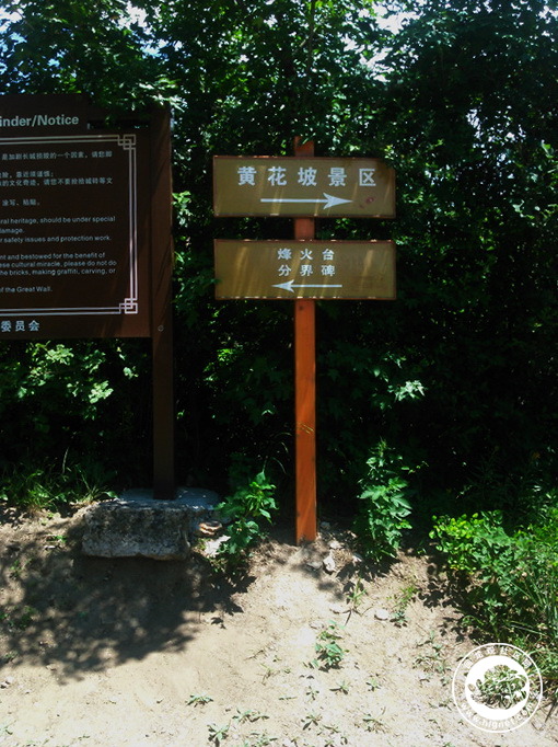20190702010056_75.jpg