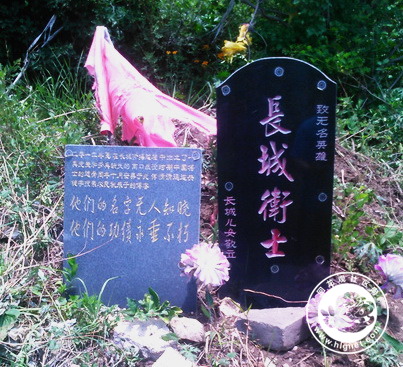 20190702010056_81.jpg