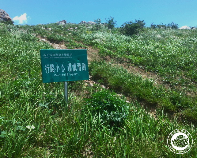 20190702010057_7.jpg