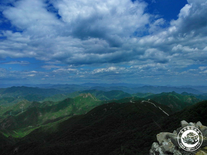 20190702010059_2.jpg