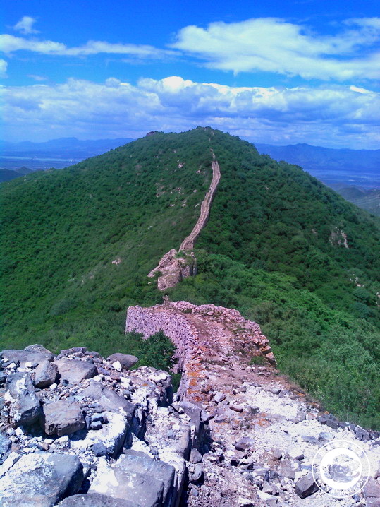 20190702010059_56.jpg