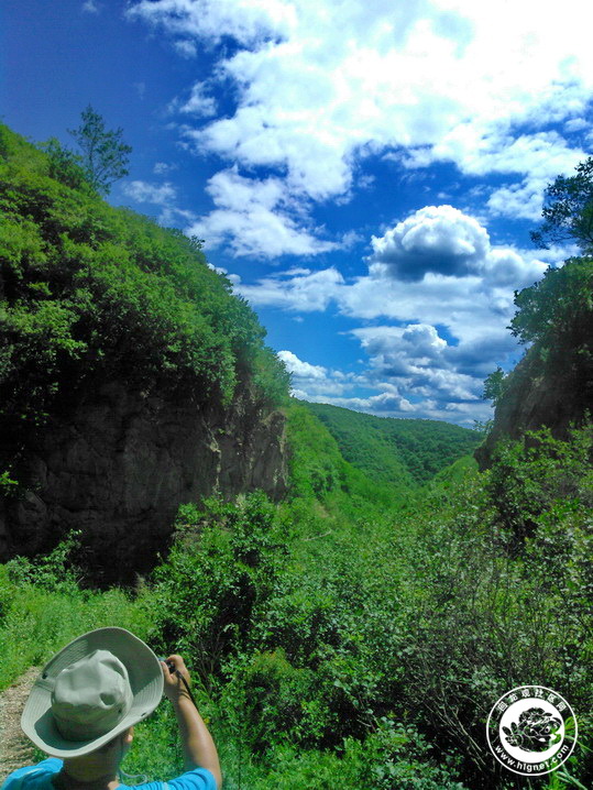 20190702010101_88.jpg