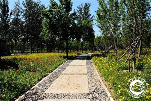 20190718160404_7.jpg 微信图片_20190718160118.jpg