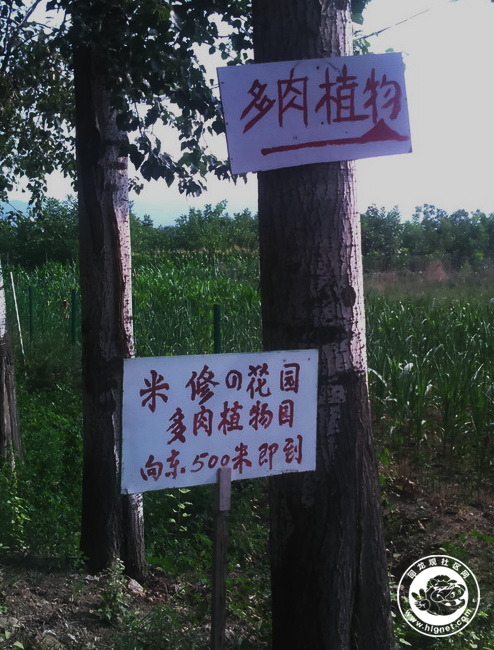 20190718232620_46.jpg