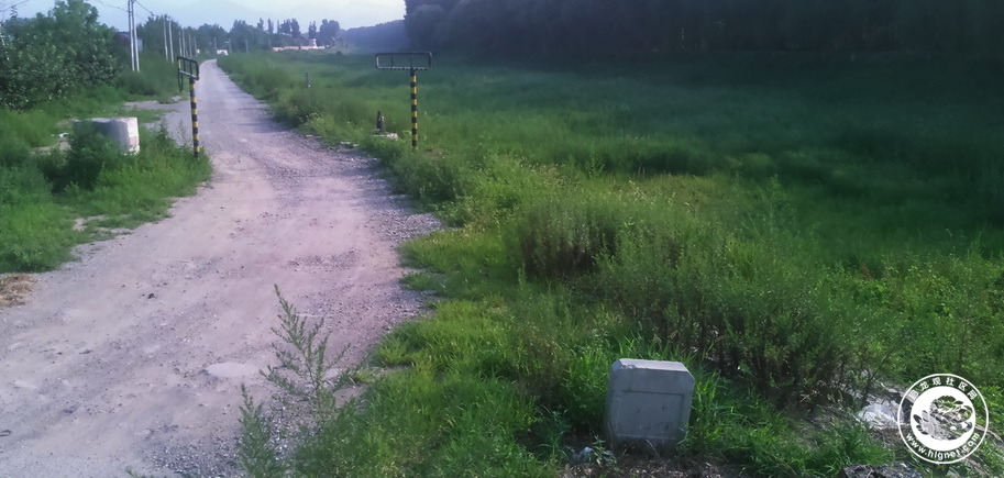 20190718232710_81.jpg