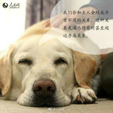 884f7263ly1g7yifd09d4j20c80c8dh0.jpg