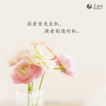 884f7263ly1g8p3nromt2j20c80c8jrs.jpg