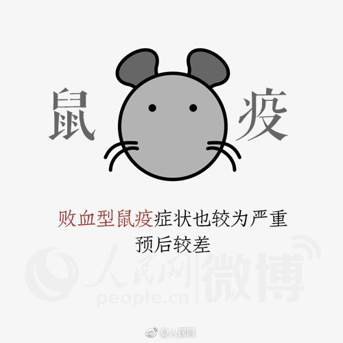 884f7263ly1g8xawam2g9j20dw0dwdgh.jpg