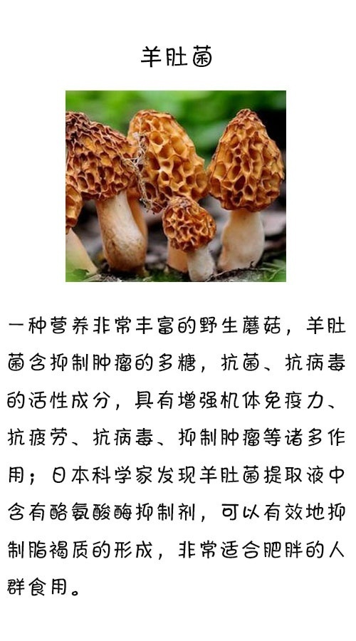 006f9Sc9gy1ffd13mmrwnj30dw0p076y.jpg
