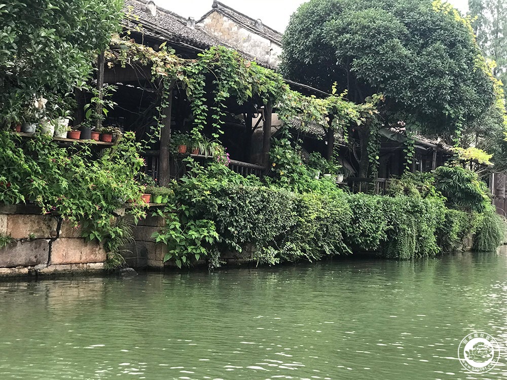 20200726210543_37.jpg