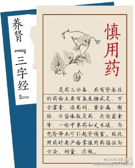 88f0f807gy1fhh24c1bywj20c70f5gmz.jpg