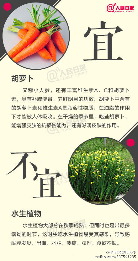 88f0f807gw1f453cclsccj20c80n4q5w.jpg