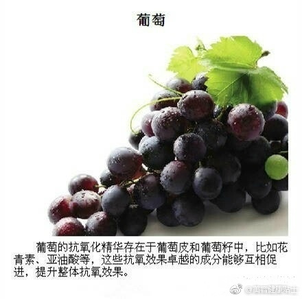7a91e697gy1fdud278aejj20c80c4759.jpg