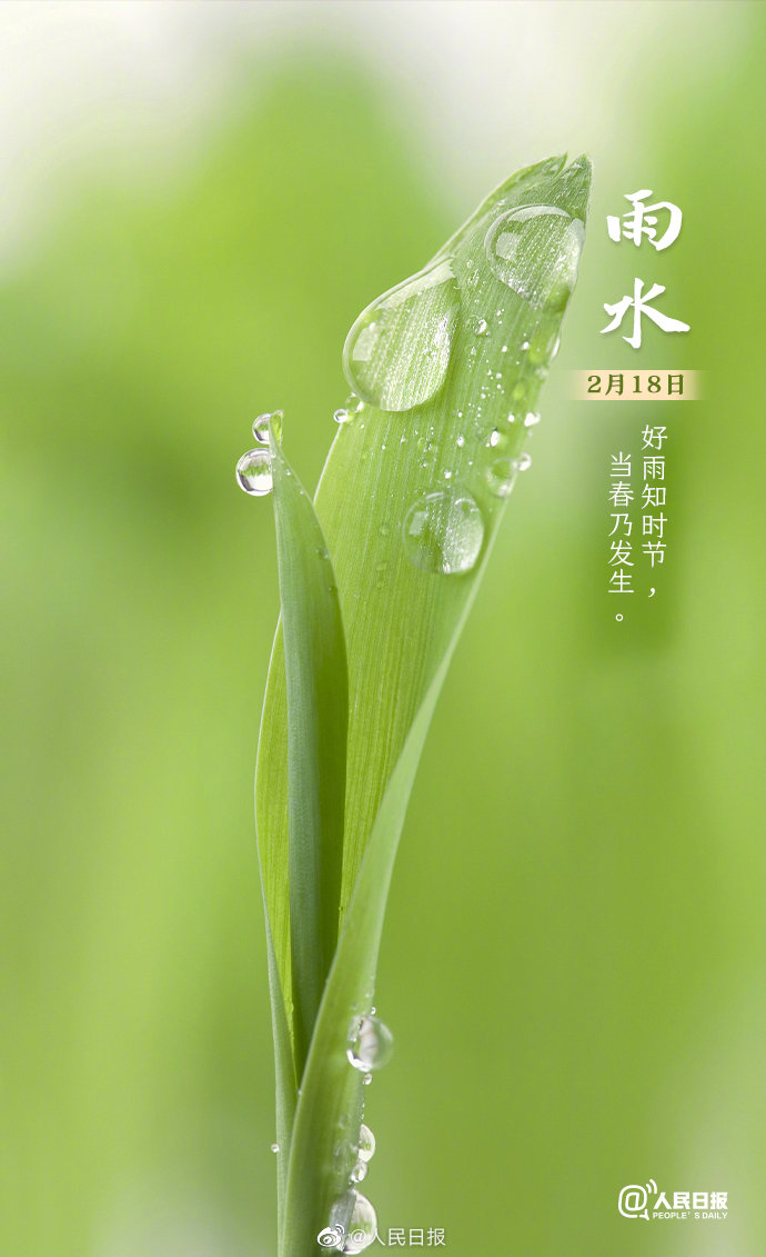 0033ImPzly1gn7noepgd9j60j60vfwqw02.jpg