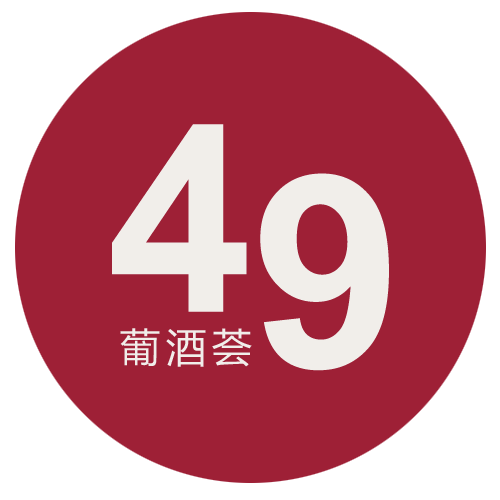 20210618093734_67.png 49logo.png