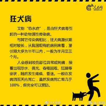 犬1.jpg