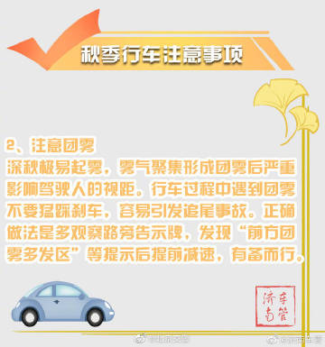 安全汽车7.jpg