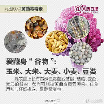 【比砒霜毒68倍！这些食物里可能有致癌物黄曲霉毒素】3.jpg