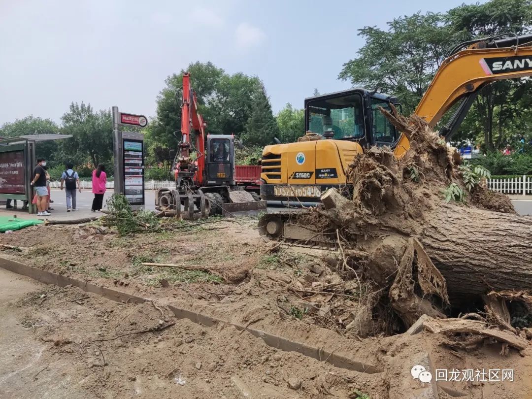 中国南方电网没有与树木拥有者沟通协商情况下私自砍伐 投诉直通车_华声在线