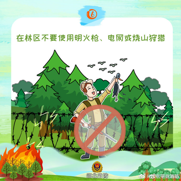 【保护森林 谨防火灾】7.jpg