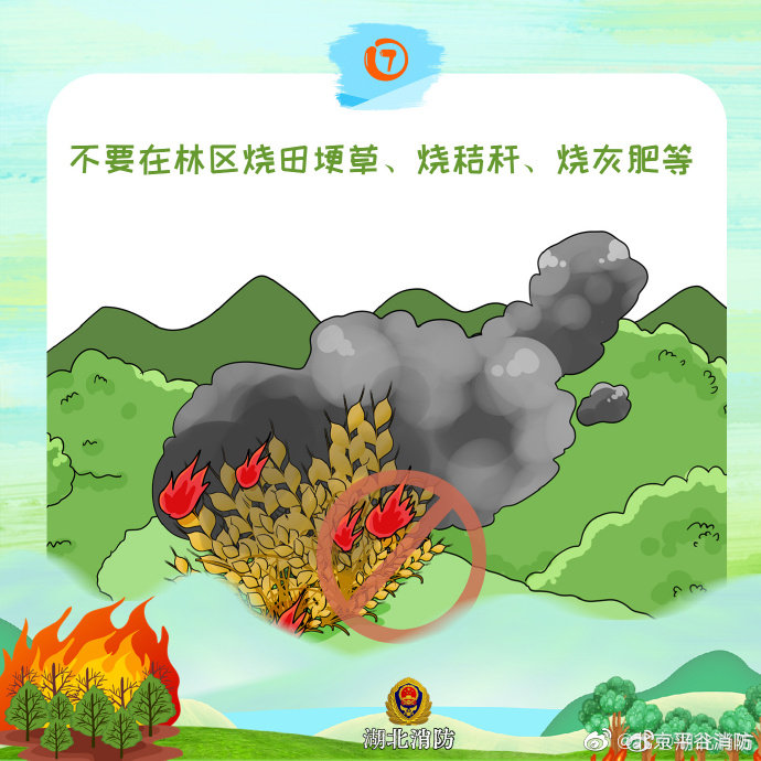 【保护森林 谨防火灾】8.jpg