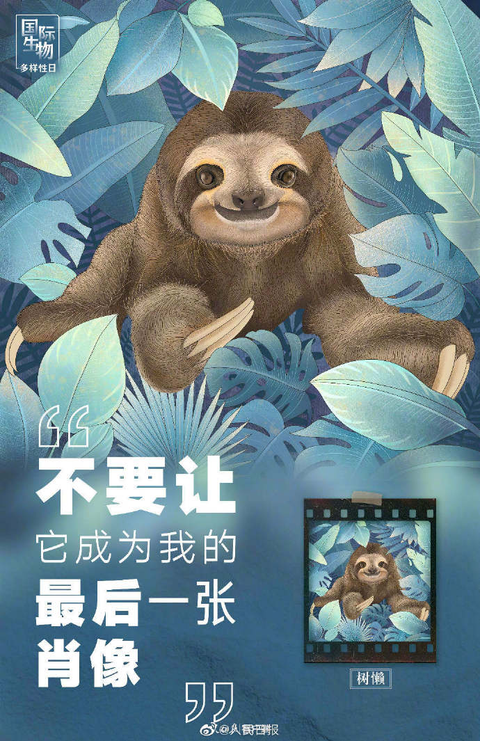【转发！#别让动物留下最后一张肖像照#】2.jpg