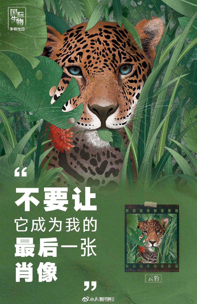 【转发！#别让动物留下最后一张肖像照#】4.jpg