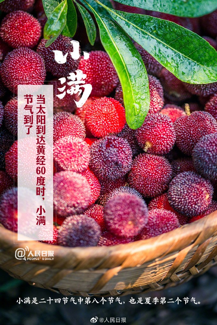 【今日，#小满#】①小满是二十四节气中第八个节气，也是夏季第二个节气；②“小满者，物致于此小得盈满”；③小满后气温明显升高，我国#多地将正式开启夏日节奏#；④此时节，雨水涟涟，蚕食桑叶，榴花绚烂。1.jpg