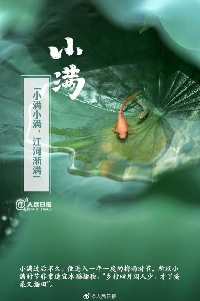 【今日，#小满#】①小满是二十四节气中第八个节气，也是夏季第二个节气；②“小满者，物致于此小得盈满”；③小满后气温明显升高，我国#多地将正式开启夏日节奏#；④此时节，雨水涟涟，蚕食桑叶，榴花绚烂。4.jpg
