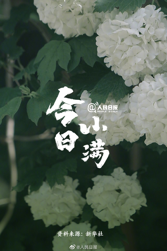 【今日，#小满#】①小满是二十四节气中第八个节气，也是夏季第二个节气；②“小满者，物致于此小得盈满”；③小满后气温明显升高，我国#多地将正式开启夏日节奏#；④此时节，雨水涟涟，蚕食桑叶，榴花绚烂。5.jpg